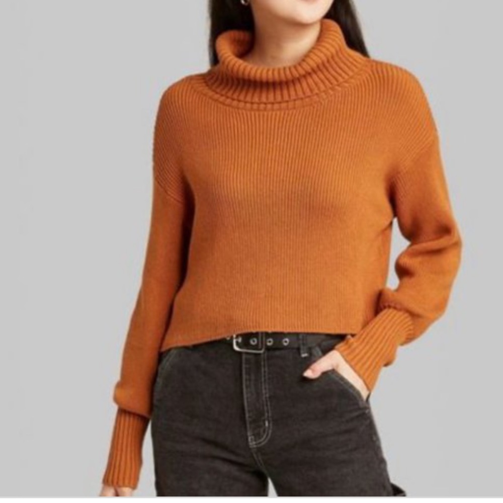 BURNT ORANGE SWEATER WILD FABLE